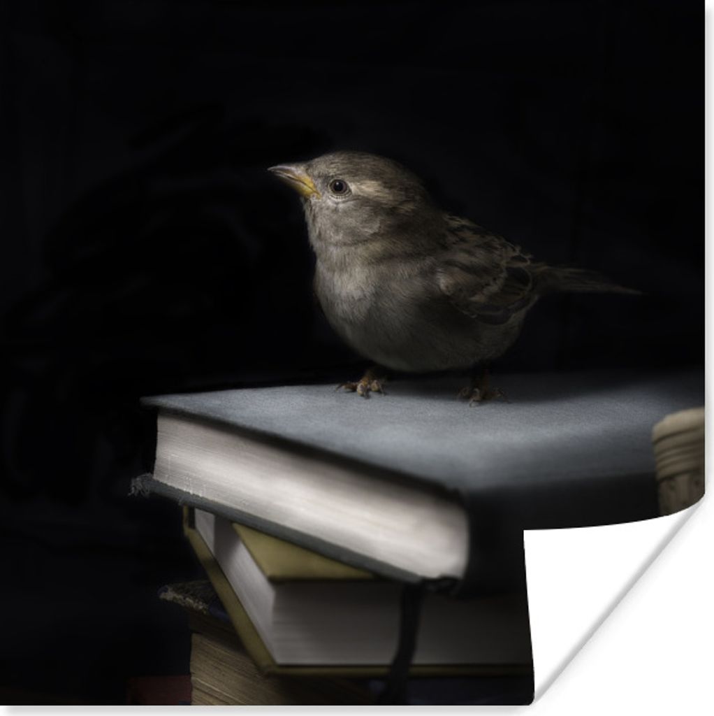 MuchoWow Poster Vogel - Bücher - Porträt 75x75 cm - Wand Dekoration