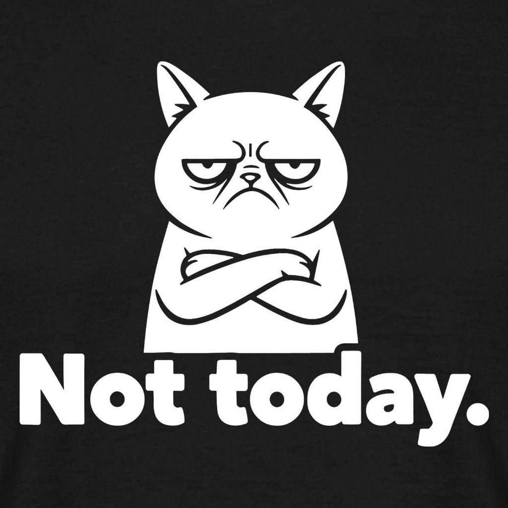 Spreadshirt Not Today | Genervte Katze Männer T-Shirt, 4XL, Schwarz