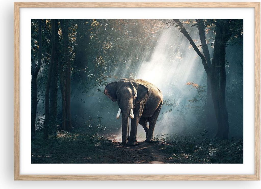 Gerahmtes Poster - Rahmen in heller Eiche - elefant natur - 70x50 cm - Wand Bild - Wanddeko - Wandbilder - Kunstposter - Wandposter - Bilderrahmen ...