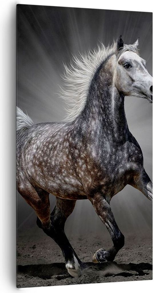 Bild auf Leinwand - Leinwandbild - Pferd Tier Natur - 65x120cm - Wand Bild - Wanddeko - Wandbilder - Leinwanddruck - Bilder - Kunstdruck - Wanddeko...