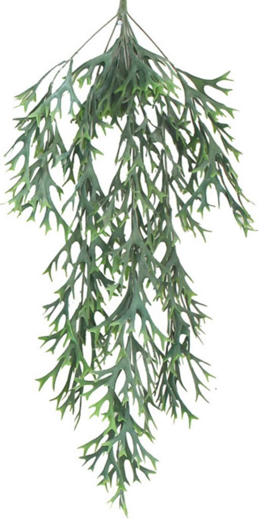 Künstliche Rattan-Wand montiert keine Bewässerung Easy Care lebendige Farbe Realistische Home Dekoration Plastik FACHTE FNERT GREEN PLANTUM HARTH...