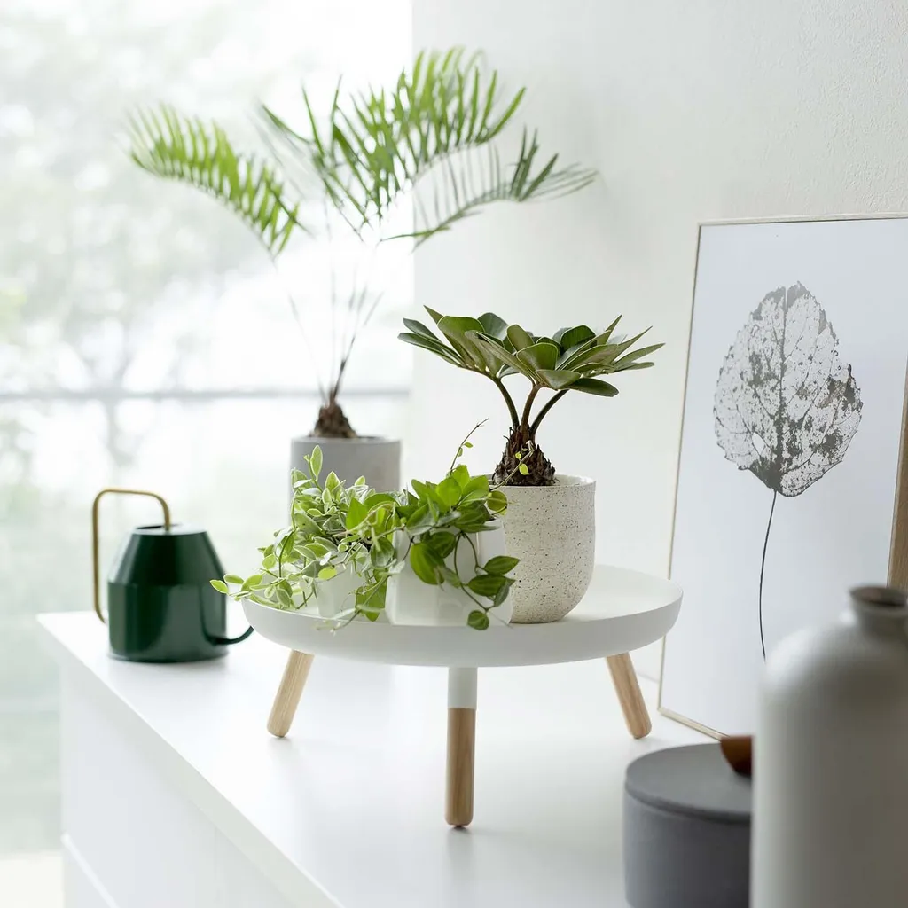 Yamazaki Table d'Appoint Coupe Décorative 32cm Blanche Design Minimaliste - 8