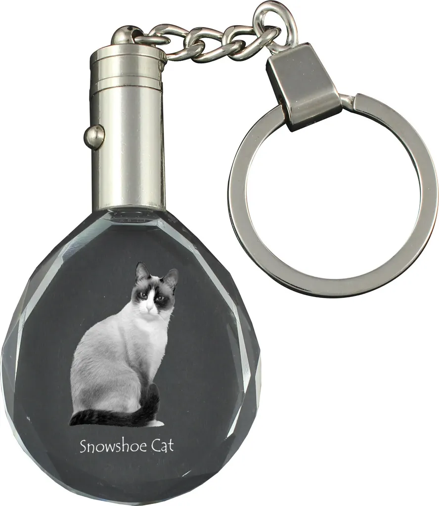 Regalo Unico Amanti Gatti: Portachiavi Cristallo Art-Dog LED
