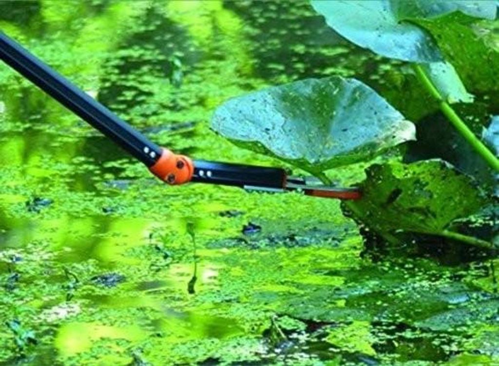 Teleskop-Gartenschere – Teleskop-Astschere – 136 bis 206 cm