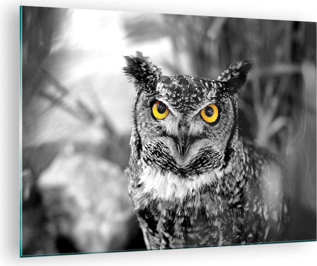 Bilder auf glas - Eule Vogel Natur - 70x50cm - Glasbilder - Wandbilder - Kunstdruck - zum Aufhängen bereit - Wanddekoration aus Glas - Glas Bilder...