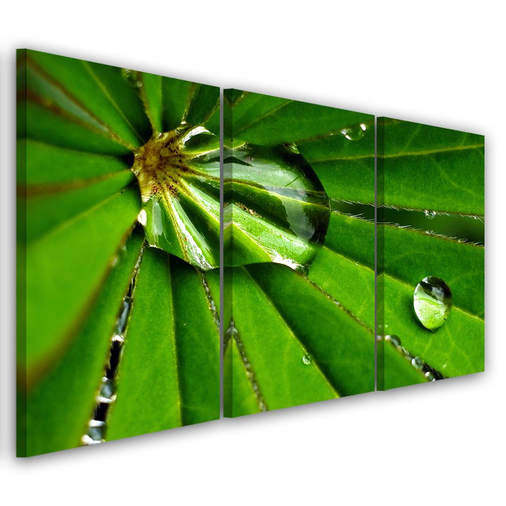 Triptychon auf leinwand grüne natur 120x80 cm Feeby grün wandbild bereit zum aufhängen