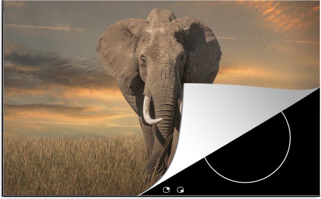 KitchenYeah© Herdabdeckplatte Elefant - Tiere - Gras - Produktbild 