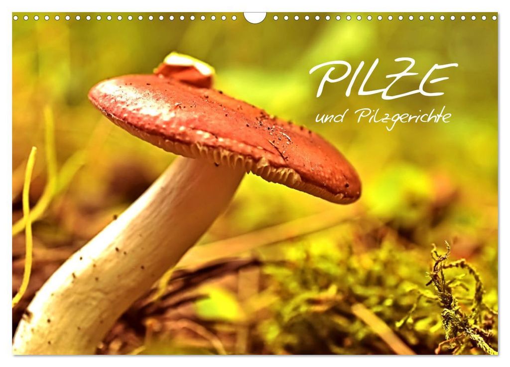 Pilze und Pilzgerichte (Wandkalender 2027 DIN A3 quer), CALVENDO Monatskalender