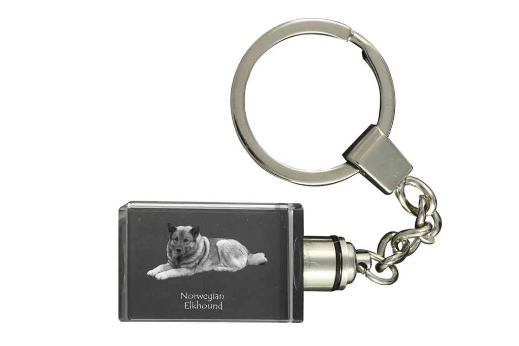 Regalo Avventura: Portachiavi Cane Alce Norvegese Cristallo Luminoso