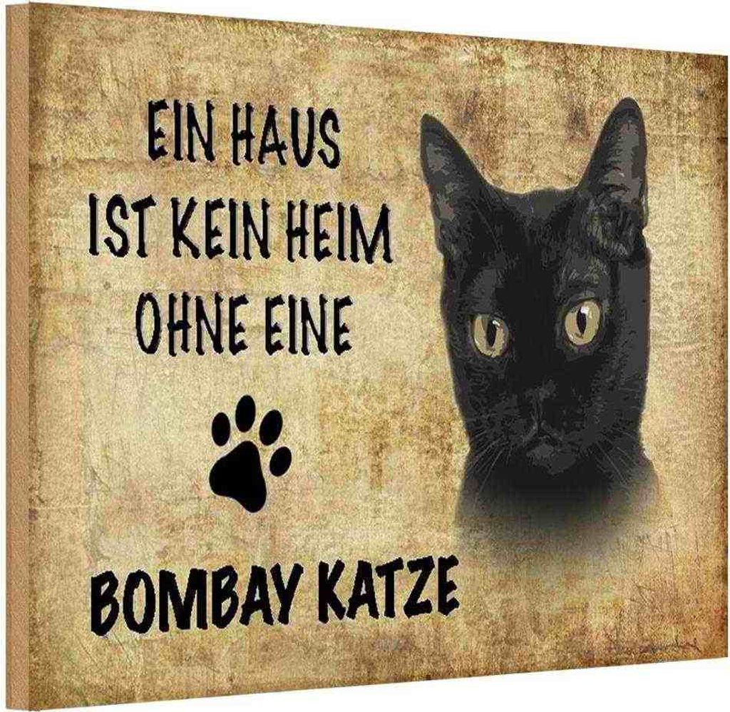 vianmo Holzschild 12x18 cm Bombay Katze ohne kein Heim Tier Haustier