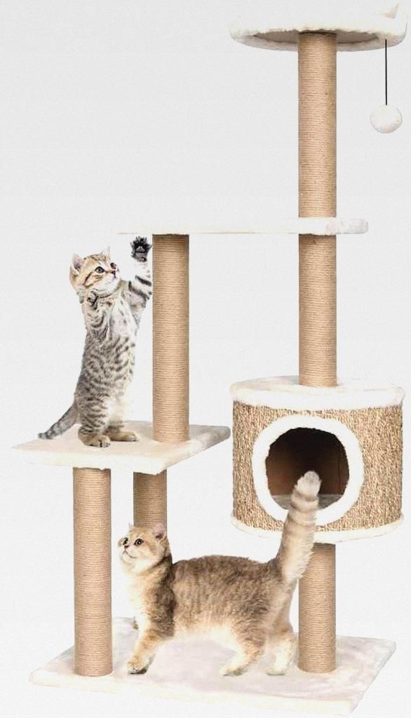 Katzen-Kratzbaum 123 cm Seegras Katzenmöbel für kleine und große Katzen