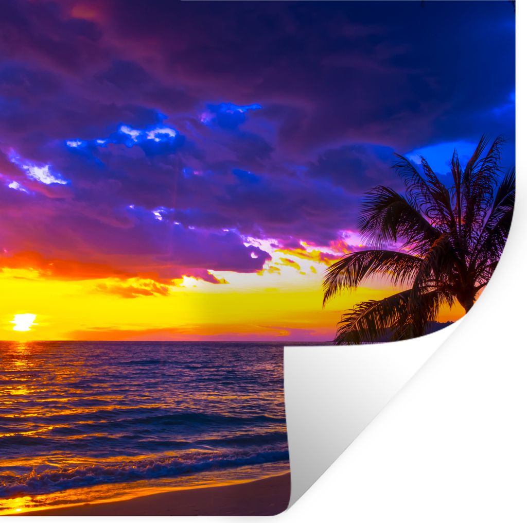 MuchoWow Wandtattoo Wandsticker Wandaufkleber Palme - Lila - Sonnenuntergang - Strand - Meer 100x100 cm Selbstklebend und Repositionierbar - Wier...