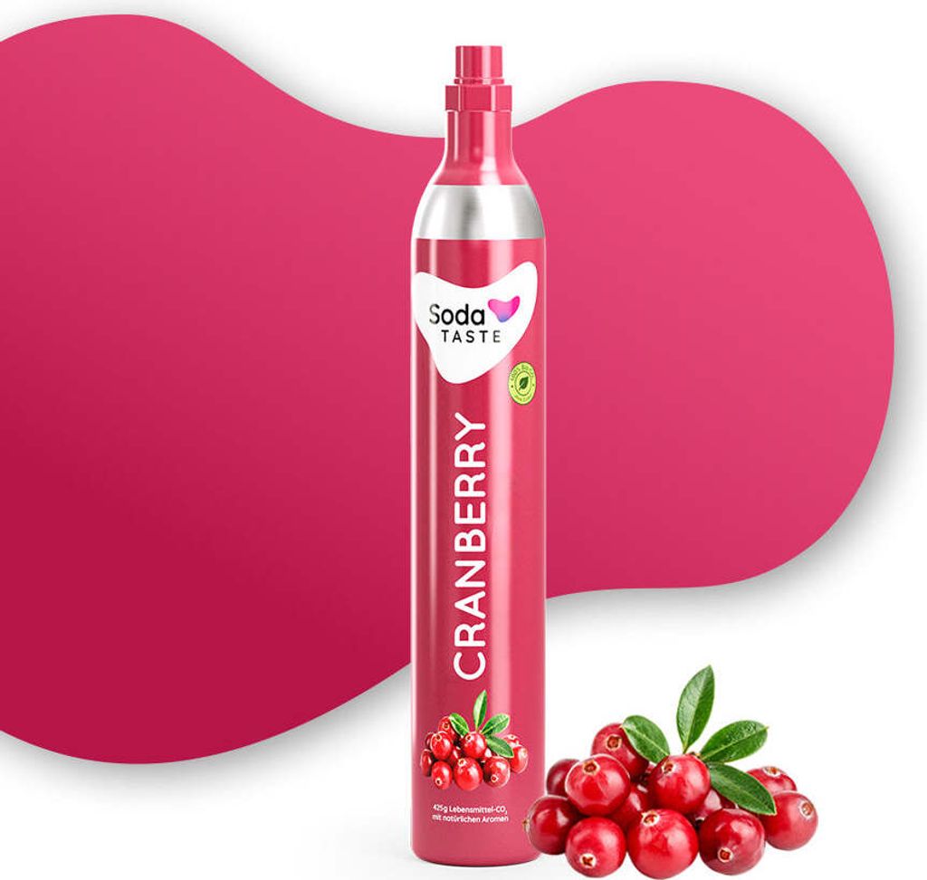 CO2-Zylinder kaufen (Schraubzylinder)
