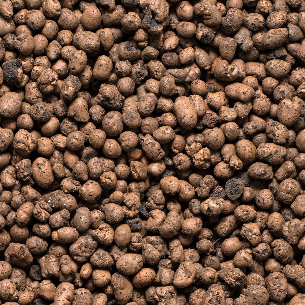 A close-up, full-frame view of expanded clay aggregate (Blähton) pebbles.