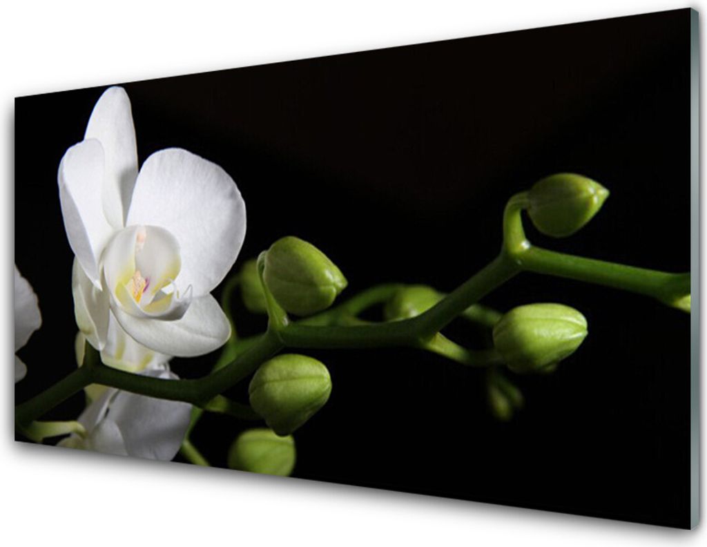 Acrylglasbilder 100x50 Wandbild Druck Blume Pflanzen