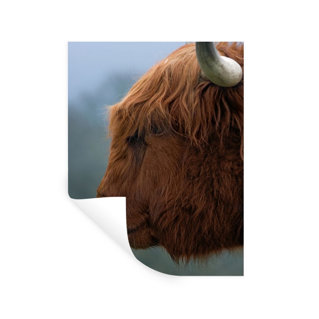 MuchoWow Wandtattoo Wandsticker Wandaufkleber Schottische Highlander - Tiere - Nebel 60x80 cm Selbstklebend und Repositionierbar - Repositionierb...