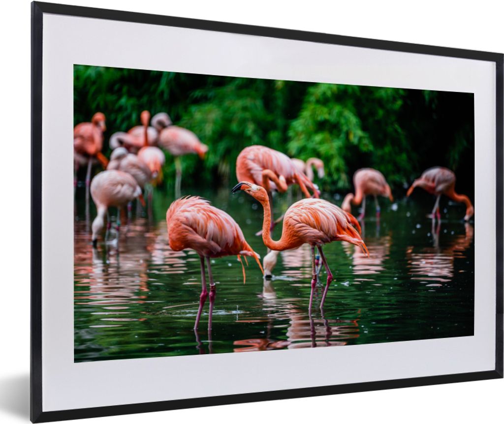MuchoWow Gerahmtes Poster Flamingo - Tropisch - Vogel - Wasser - Rosa 60x40 cm - Poster mit Schwarzem Bilderrahmen Wandposter Rahmen Foto Bilder ...