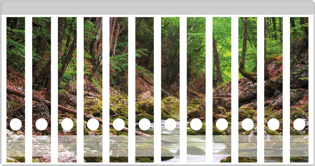 Wallario Ordnerrücken Sticker, selbstklebend für schmale Ordner, 12 Stück, Motiv Fluss im Wald