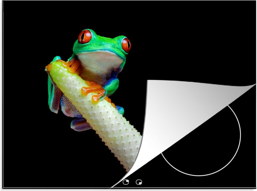 KitchenYeah Herdabdeckplatte Frosch - Tier - Pflanze , 71x52cm, Küche Deko, Glaskeramikfeld Herdabdeckung, Abdeckplatte fùr Kochfeld