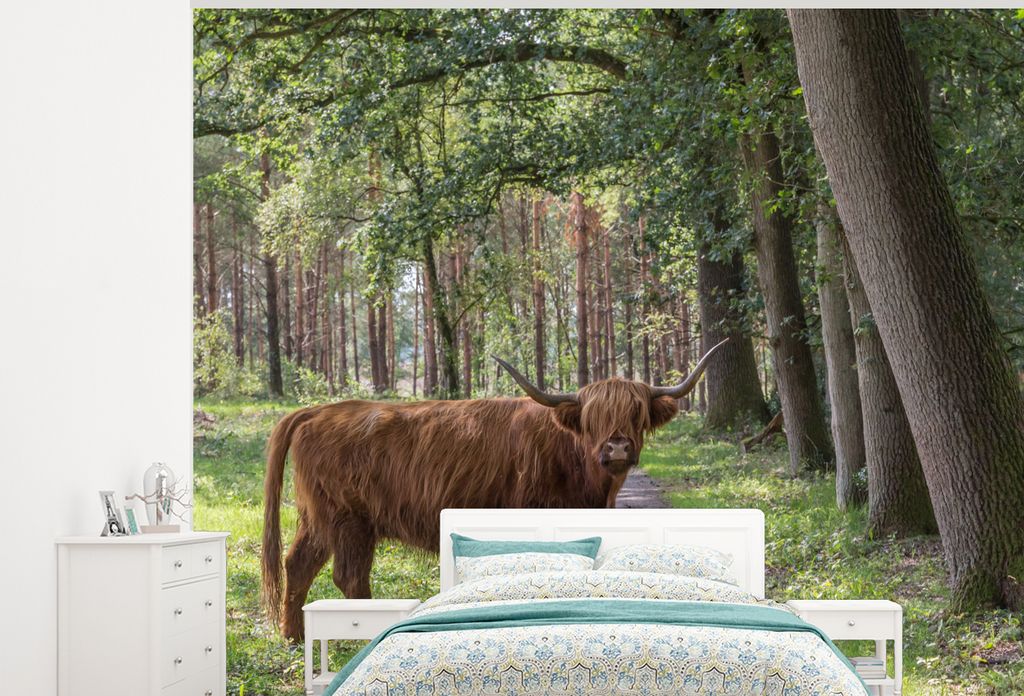 MuchoWow Fototapete für Wohnzimmer oder Schlafzimmer Wandtapete Vinyl Motivtapete Schottischer Highlander - Kröte - Baum - 325x260 cm - Tapete