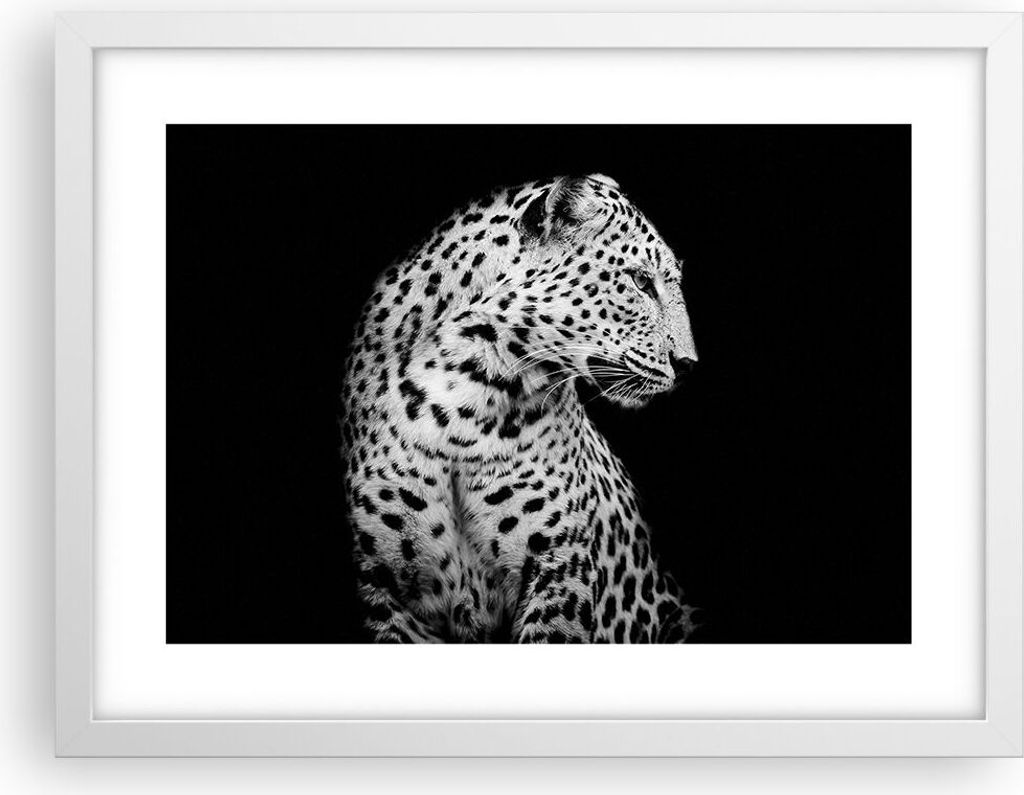 Gerahmtes Poster - Weißer Rahmen - Leopard Panther Katze - 40x30 cm - Wand Bild - Wanddeko - Wandbilder - Kunstposter - Wandposter - Bilderrahmen ...