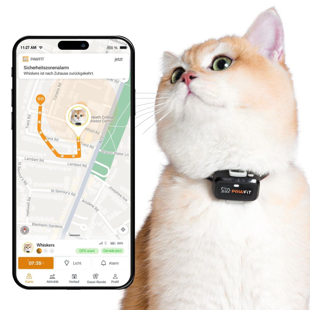Pawfit Lite für Katzen 4G GPS-Tracker | Ultrakompakt <18g | Echtzeit-Tracking & Aktivität | Standortverlauf | Sicherheits-Halsband inkl. | ONYXSC...