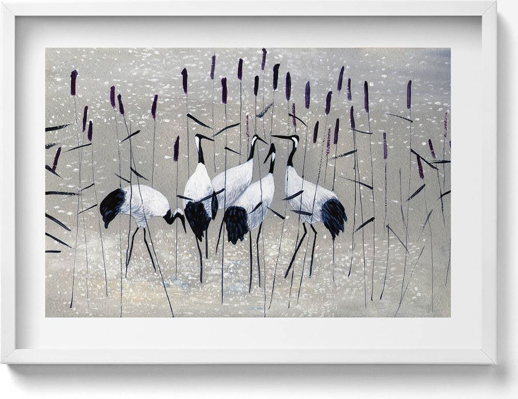 Kraniche im Schilf– Wandbild mit Rahmen – Gerahmtes Bild – Wanddekoration – 70x50 cm – Schwarz Rahmen
