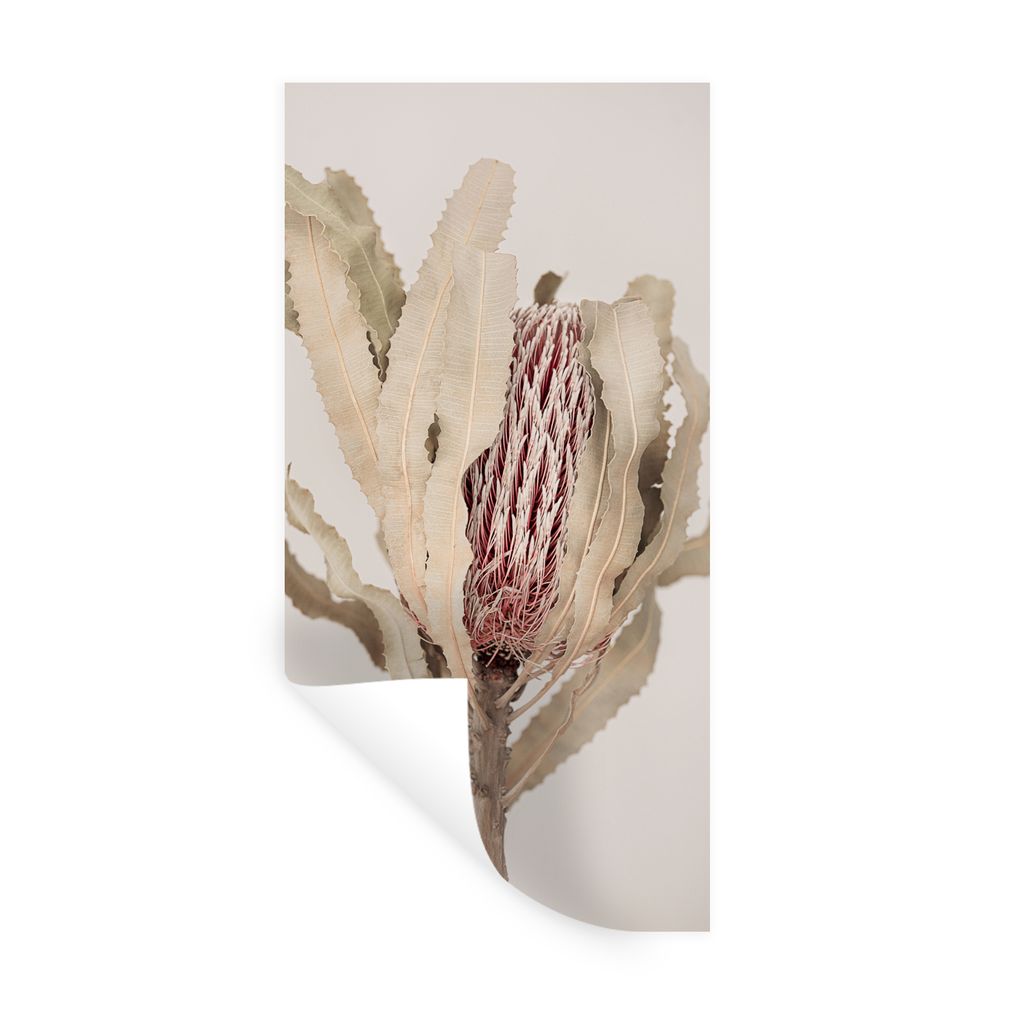 MuchoWow Wandtattoo Wandsticker Wandaufkleber Pflanze - Natur - Braun - Grau 20x40 cm Selbstklebend und Repositionierbar - Selbstklebend - Fotota...