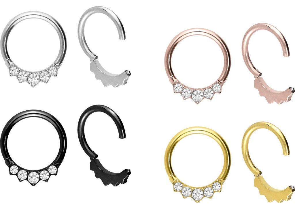 Ohrpiercing, Nasenpiercing, Septum Piercing Titan Segmentring Clicker 5 EINGEFASSTE KRISTALLE