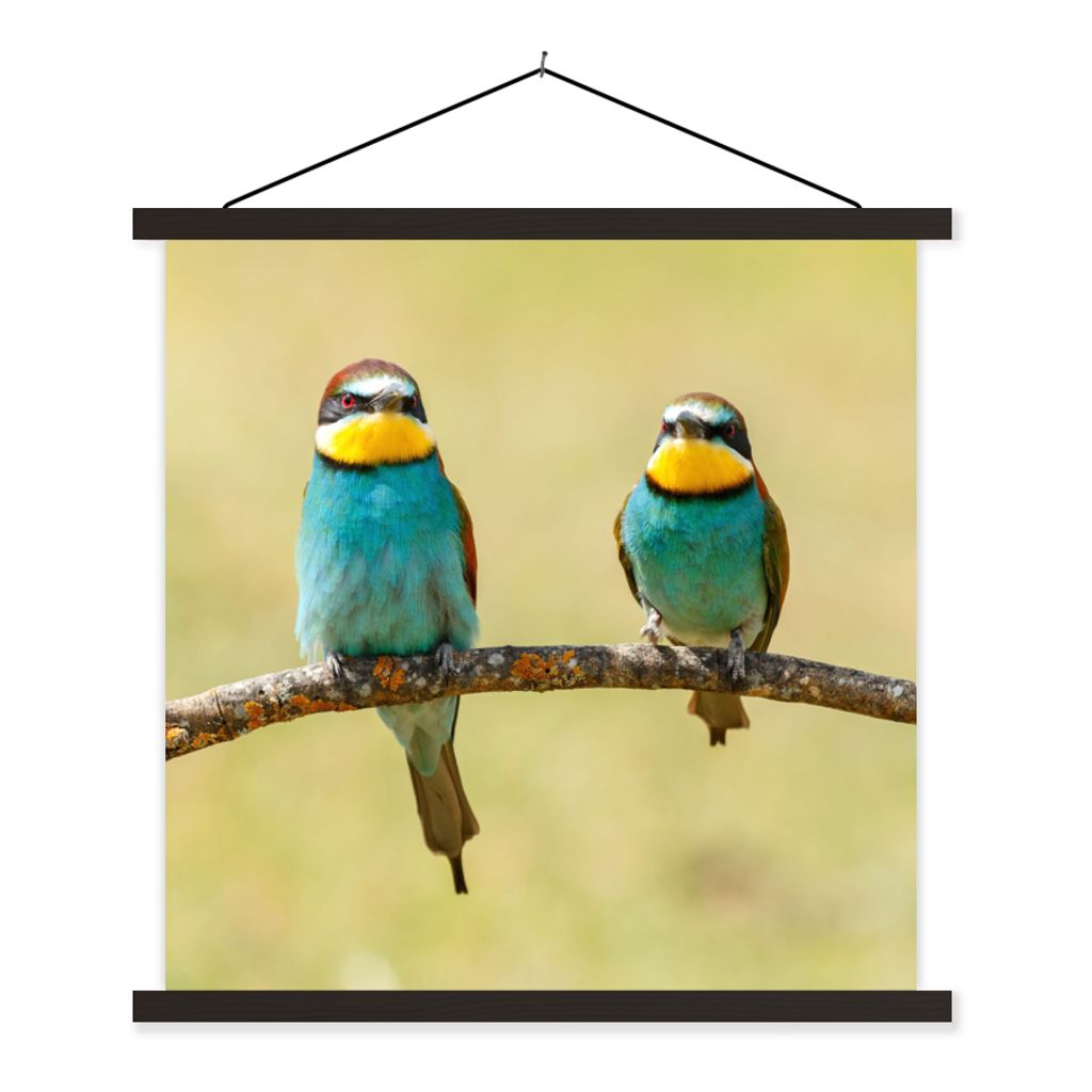 MuchoWow Textilposter Vögel - Tiere - Bienenfresser 120x120 cm mit schwarzem Rahmen - Aufhängungsset