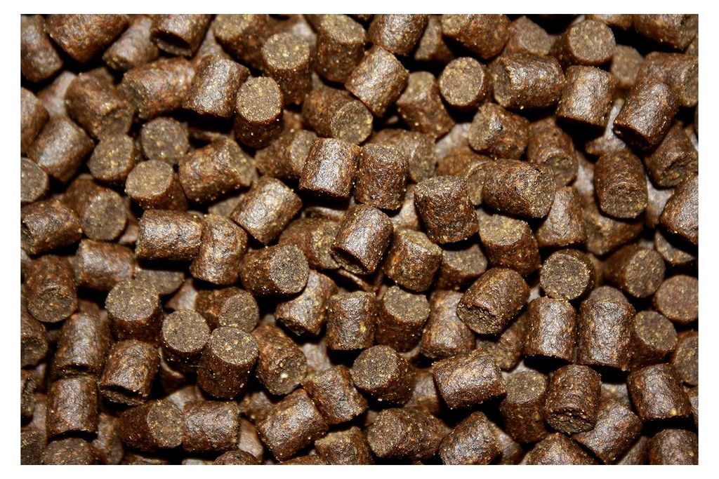 Winterfutter Koi Sinkfutter für den Winter, 3kg Eimer
