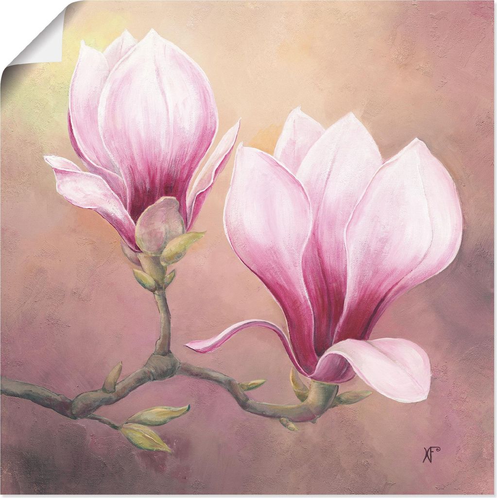 ARTland Poster Späte Magnolie Größe: 30x30 cm