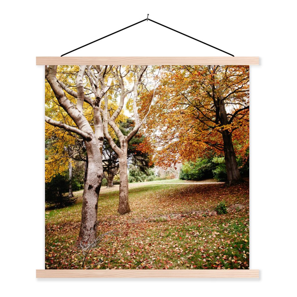 MuchoWow Textilposter Herbst - Bäume - Laub - Natur 60x60 cm mit holzfarbenen Rahmen - Wanddekoration