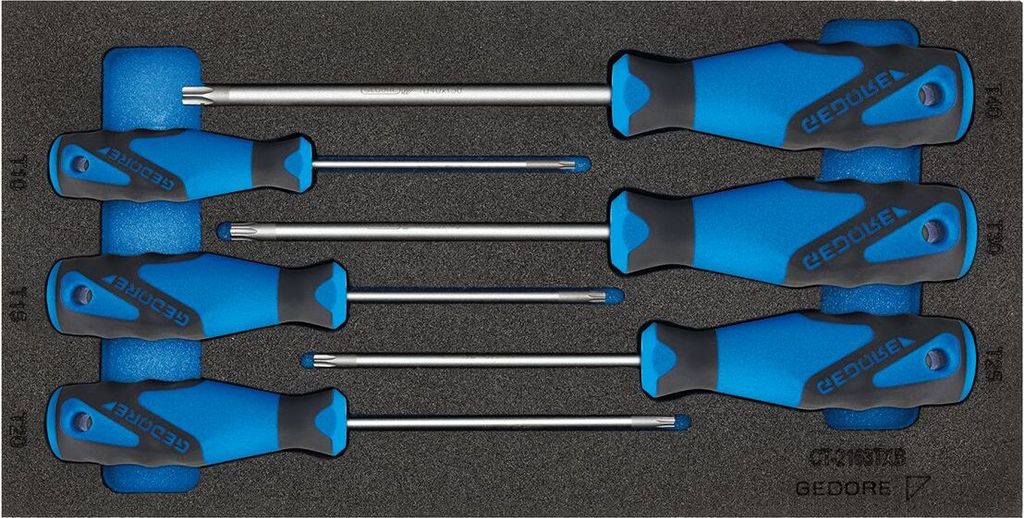 GEDORE 1500 CT1-2163 TXB Schraubendreher in Check-Tool-Modul, 2309165