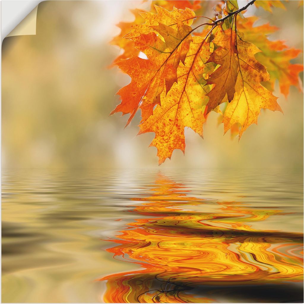 ARTland Wandbild, selbstklebend Herbstblatt Größe: 40x40 cm