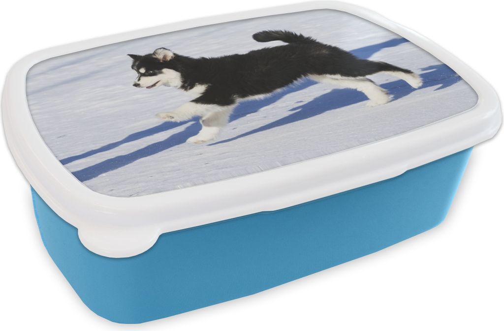 KitchenYeah Lunchbox Brotzeit Brotdose 17x11 cm Husky-Welpe läuft über den Schnee Kinder Brotzeitdose - Lunch - Kunststoff - Brotbüchse - San...
