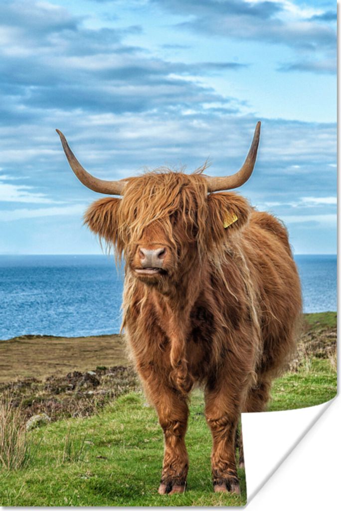 MuchoWow Poster Schottischer Highlander - Wasser - Hörner 60x90 cm - Wanddekoration