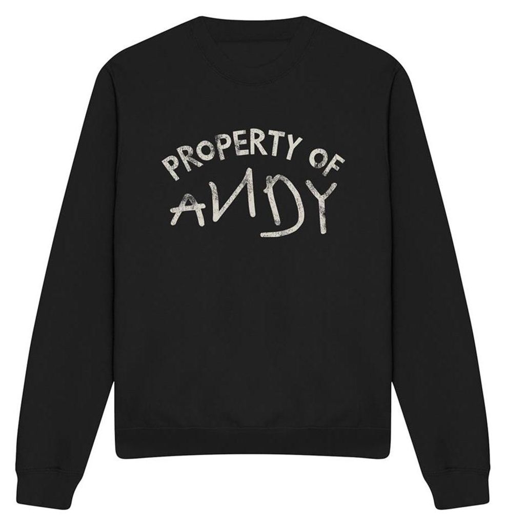 Toy Story - "Property Of Andy" Sweatshirt für Herren/Damen Uni TV33764 (XL) (Schwarz)