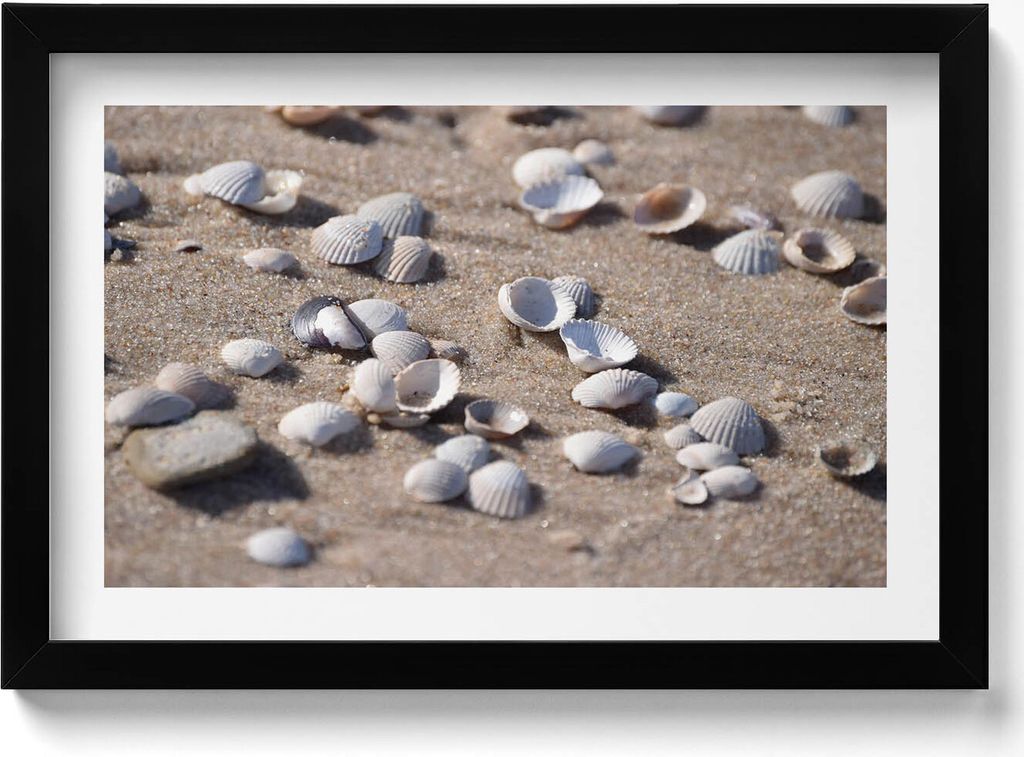 Muscheln am Strand– Wandbild mit Rahmen – Gerahmtes Bild – Wanddekoration – 30x20 cm – Schwarz Rahmen
