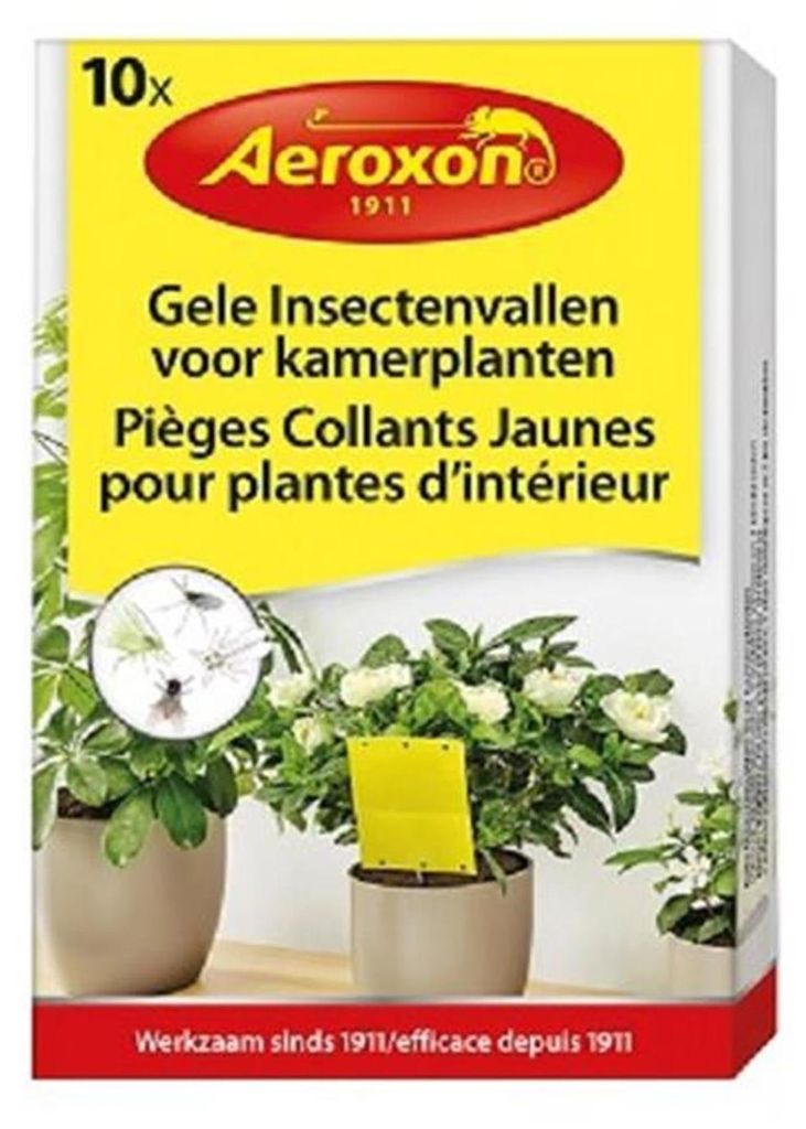 Aeroxon Insektenfallen für Zimmerpflanzen Produktbild 
