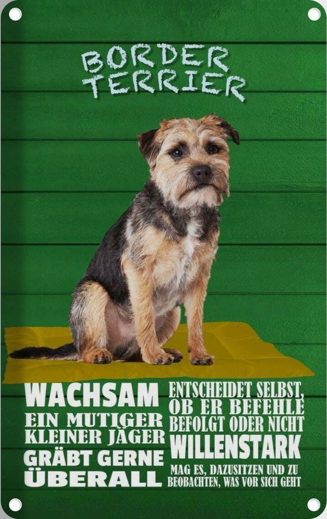 vianmo Blechschild 18x12 cm Border Terrier Hund wachsam Tier Haustier