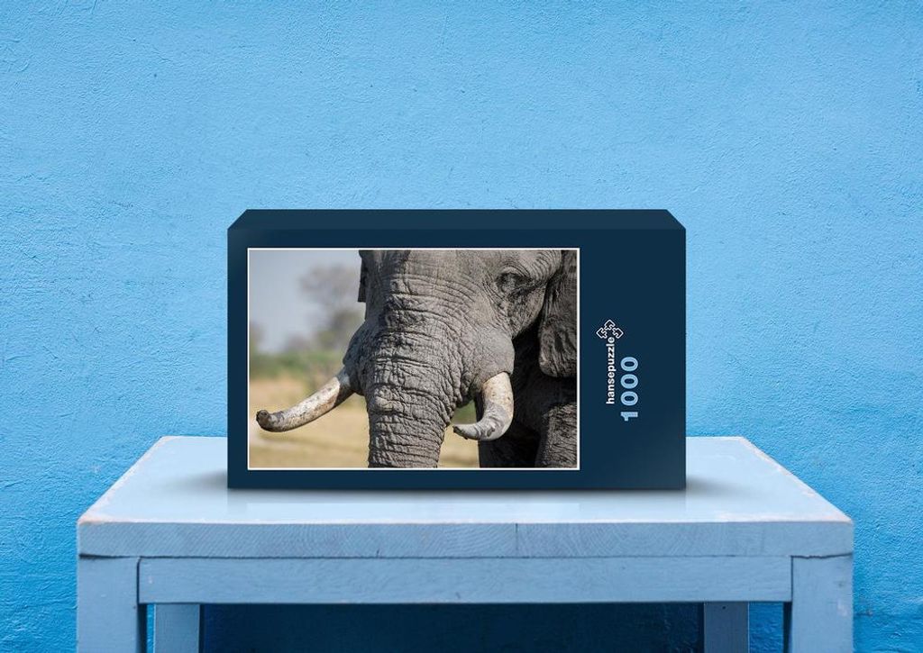 hansepuzzle 87027 - Elefant Puzzle, 1000 Teile, Tierwelt, 60,0 x 46,0cm mit hochwertiger Aufbewahrung, Kartonbox und wiederverschließbarem Beutel