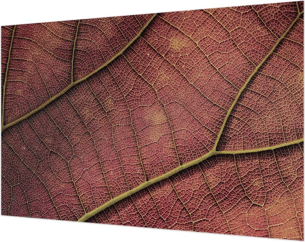 Wandtapete - Dekorative Tapete für Wohnzimmer- Tapetenfolie für Wanddekoration - 104x70 cm - Blattartige Textur