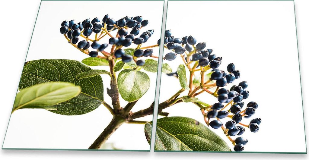 Herdabdeckplatte Glaskeramik 2-Teilig 2x40x52 Blumen Blau Abdeckung Spritzschutz Glas