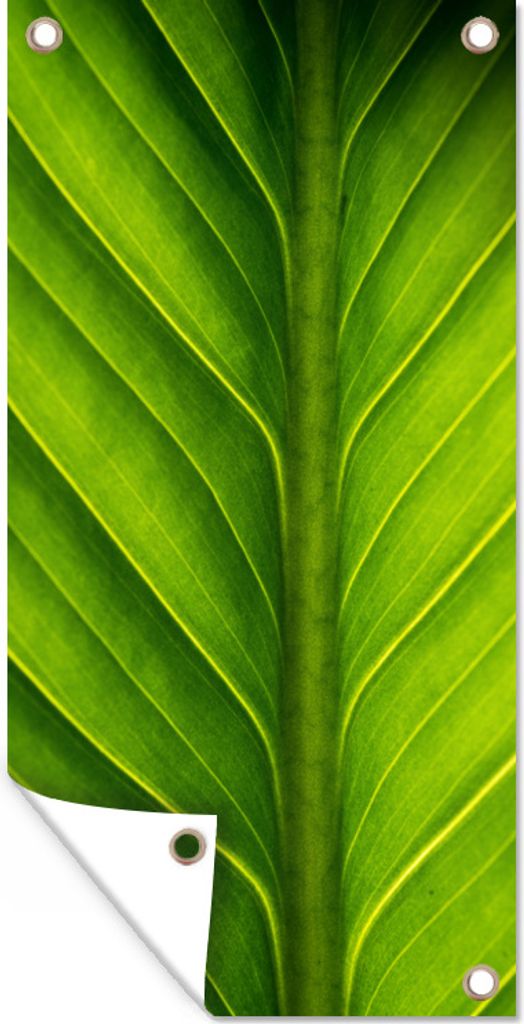 MuchoWow 30x60 cm Outdoor-Poster Gartendeko Sichtschutz Garten Poster für den Garten Mit Blättern gefüllter Zweig