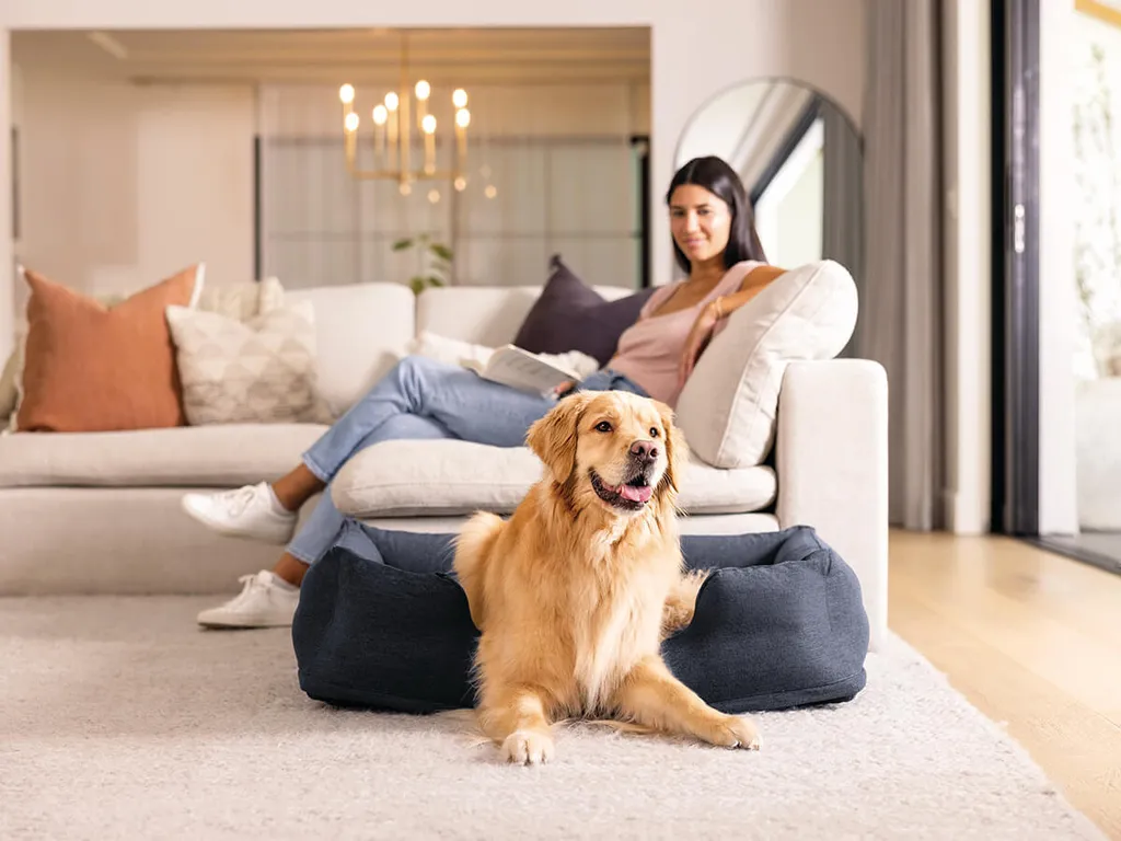 Lit gonflable chien Intex taille M - Surface floquée et base renforcée - 2
