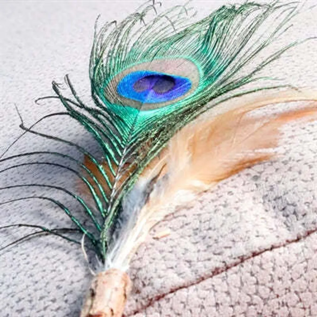 Canne Chat Matatabi Euphoria aux Plumes de Paon Naturelles de Croci