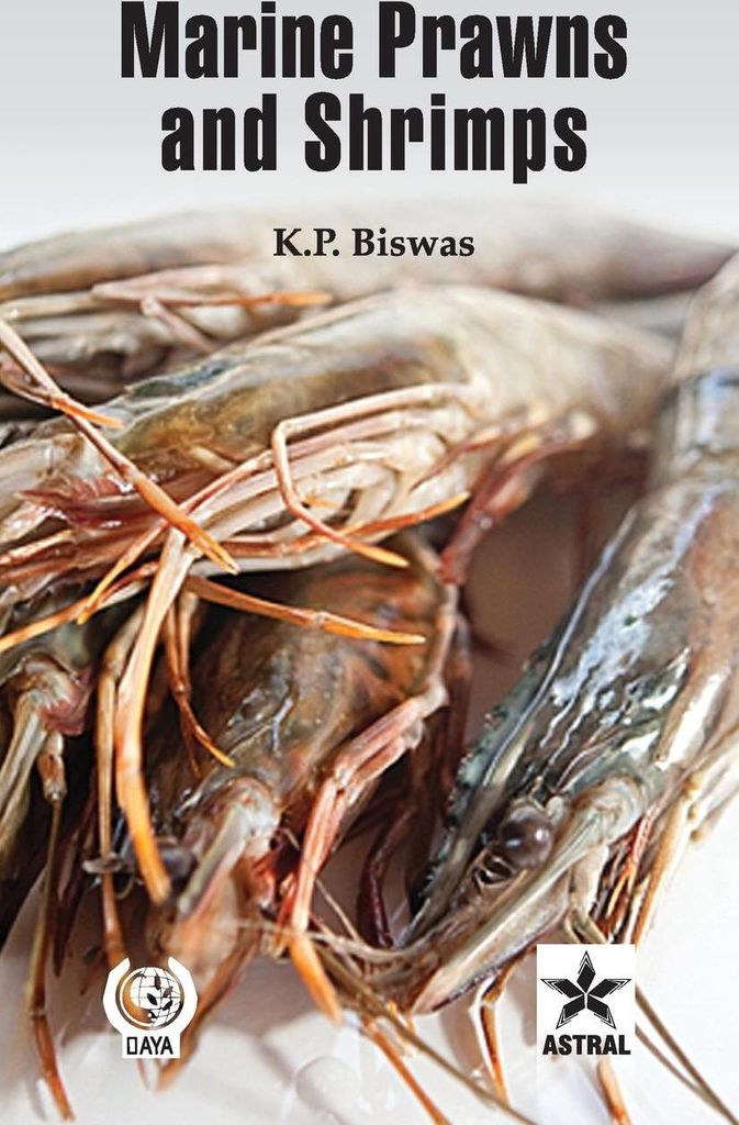 Marine Prawns and Shrimps