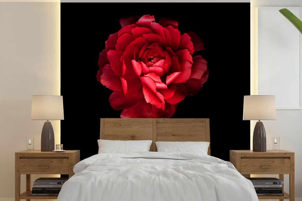 MuchoWow Fototapete für Wohnzimmer oder Schlafzimmer Wandtapete Vinyl Motivtapete Eine rote Butterblume mit schwarzem Hintergrund - 280x280 cm -...
