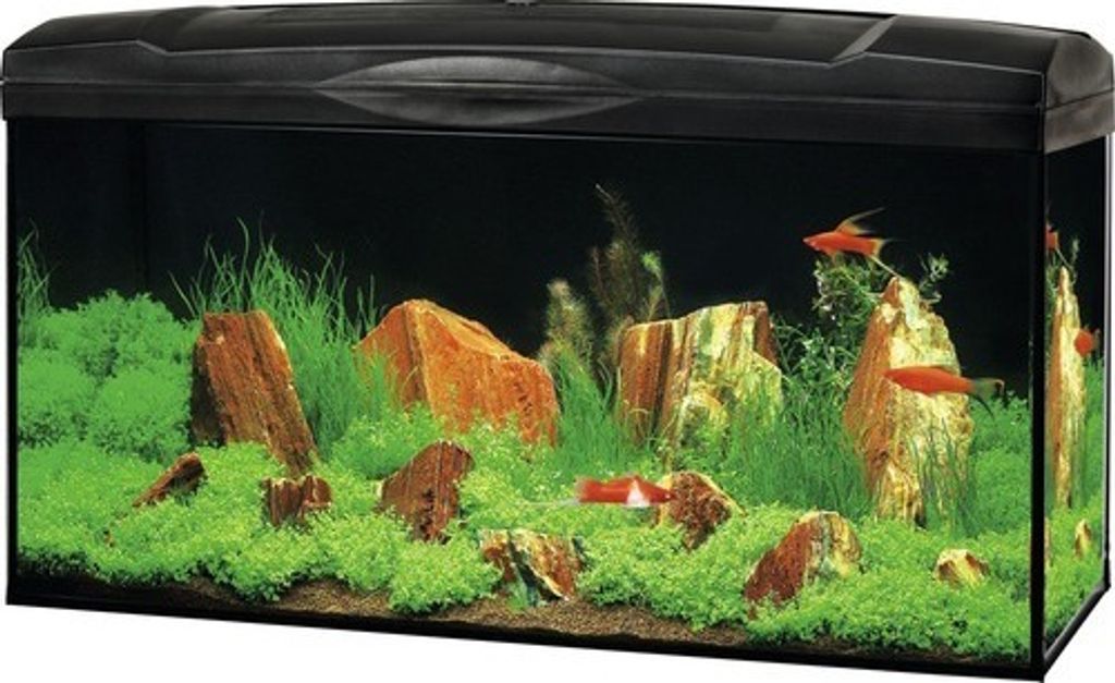 Aquarium Marina Complete 54 inkl. LED-Beleuchtung 10 W, Filter, Heizer, schwarz